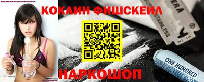 стаф Дубна