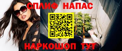 стаф Дубна