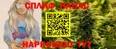 стаф Дубна