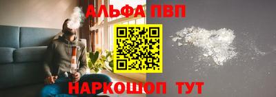 стаф Дубна