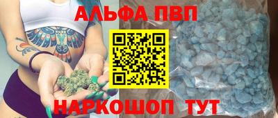 стаф Дубна