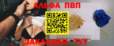 стаф Дубна