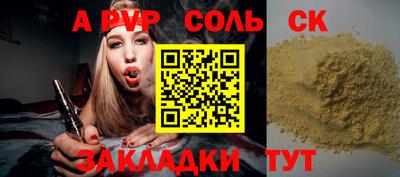 стаф Дубна