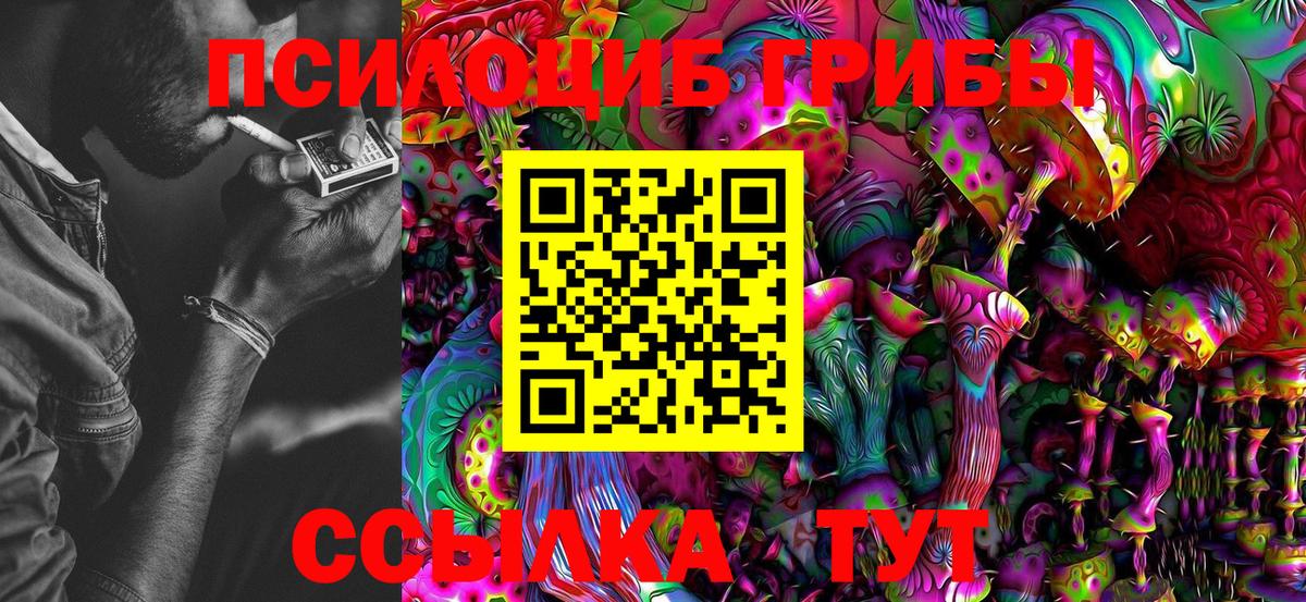 Галлюциногенные грибы Psilocybe Магнитогорск